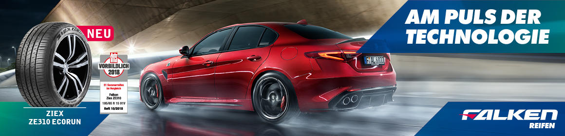 Falken Falken