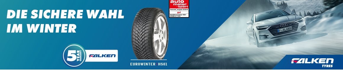 Falken Falken