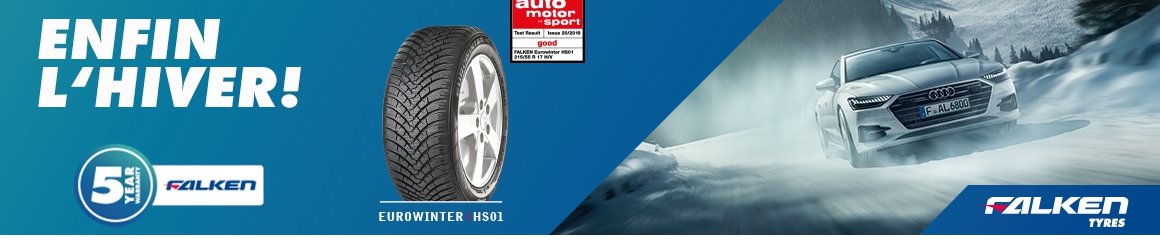 Falken Falken