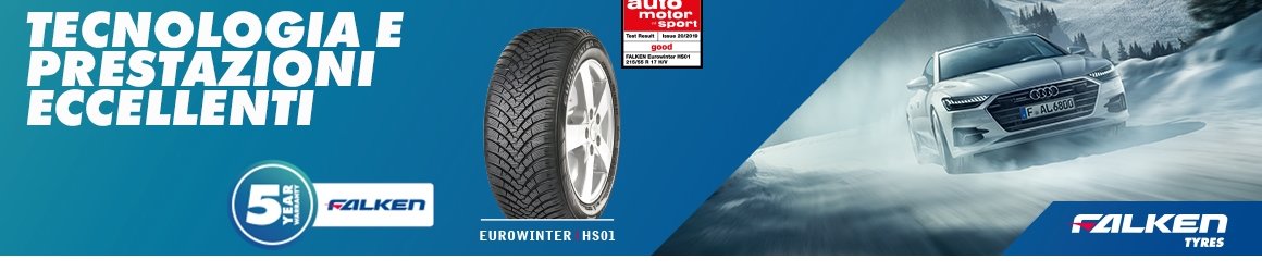 Falken Falken